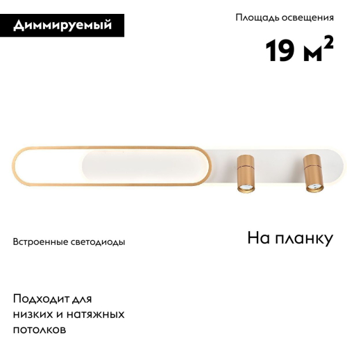 Настенно-потолочный светильник Favourite Planar 4075-2C изображение в интернет-магазине Cramer Light фото 2
