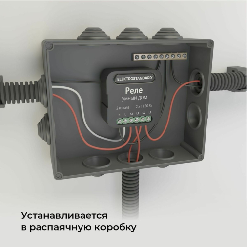 Умное двухканальное реле Elektrostandard 4690389185083 a059326 дополнительное фото фото 3
