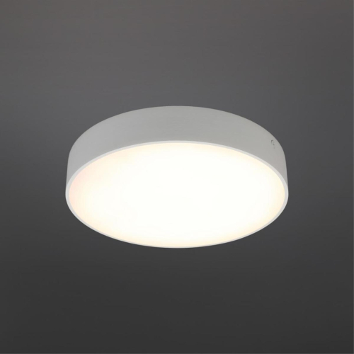 Потолочный светильник Aployt Evon APL.0113.09.24 изображение в интернет-магазине Cramer Light фото 2