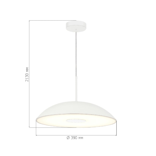 Подвесной светильник ST Luce Lid SL6128.503.01 изображение в интернет-магазине Cramer Light