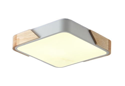 Потолочный светильник Zortes Alberro ZRS.01285.24 изображение в интернет-магазине Cramer Light
