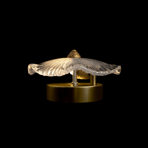 Настенный светильник Loft IT Bloom 10352W/A AB изображение в интернет-магазине Cramer Light фото 6