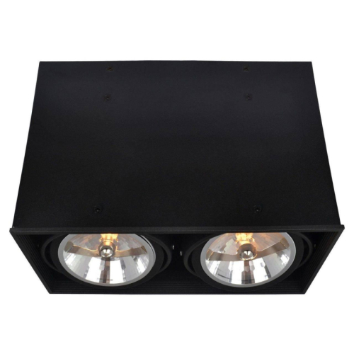 Потолочный светильник Arte Lamp Cardani A5936PL-2BK изображение в интернет-магазине Cramer Light
