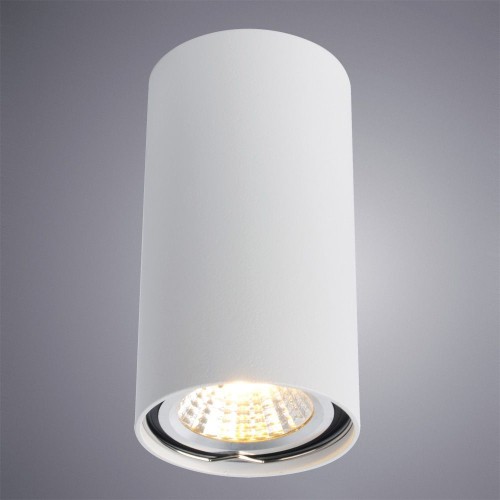 Потолочный светильник Arte Lamp A1516PL-1WH изображение в интернет-магазине Cramer Light фото 2