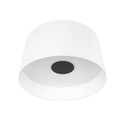 Потолочный светильник Loft IT Duo 10360L White изображение в интернет-магазине Cramer Light