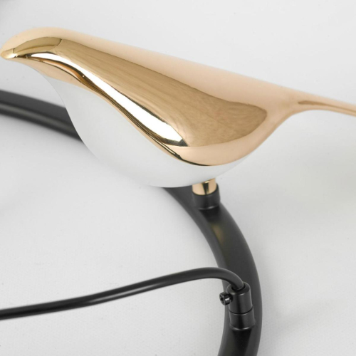 Подвесная люстра Lussole Jasper LSP-8641 изображение в интернет-магазине Cramer Light фото 6