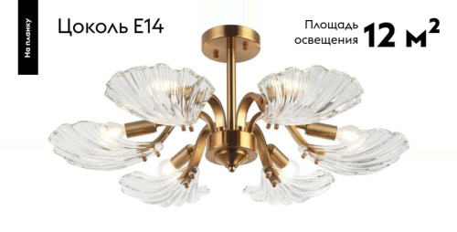 Потолочная люстра Stilfort Muschel 2153/05/06P изображение в интернет-магазине Cramer Light фото 2