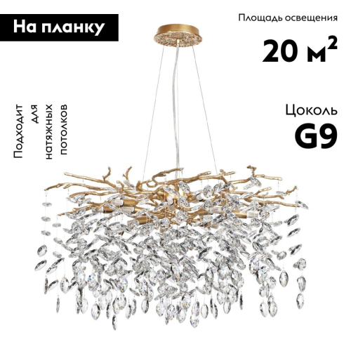 Подвесная люстра Odeon Light Delica 4969/10 изображение в интернет-магазине Cramer Light фото 2