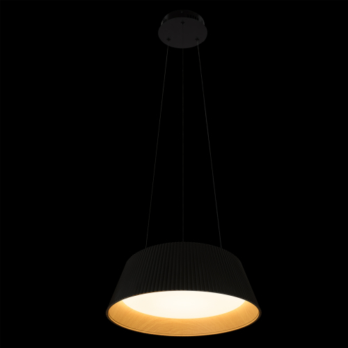 Подвесной светильник Loft IT Evans 10224P Black изображение в интернет-магазине Cramer Light фото 2