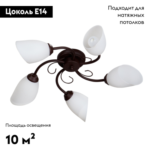 Потолочная люстра Vitaluce V3715/5PL изображение в интернет-магазине Cramer Light фото 2