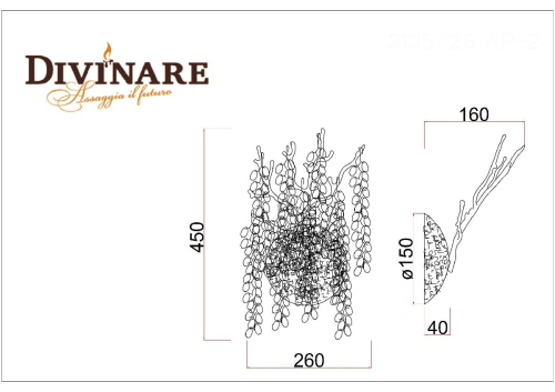 Настенный светильник Divinare Salice 3135/26 AP-2 изображение в интернет-магазине Cramer Light фото 2