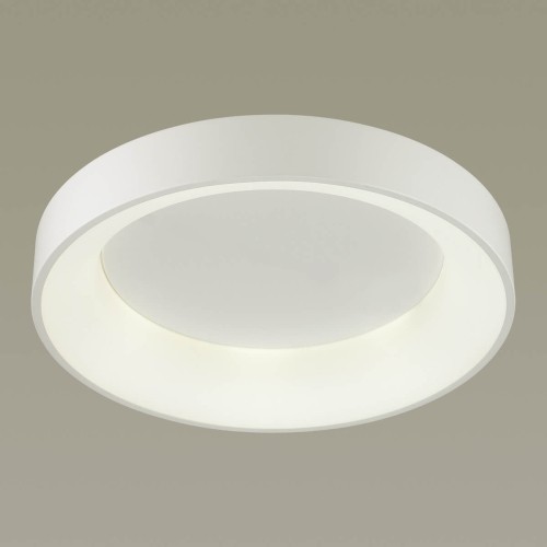 Потолочный светодиодный светильник Odeon Light Sole 4062/50CL изображение в интернет-магазине Cramer Light фото 2