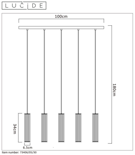 Подвесной светильник Lucide LIONEL 73406/05/30 изображение в интернет-магазине Cramer Light фото 6