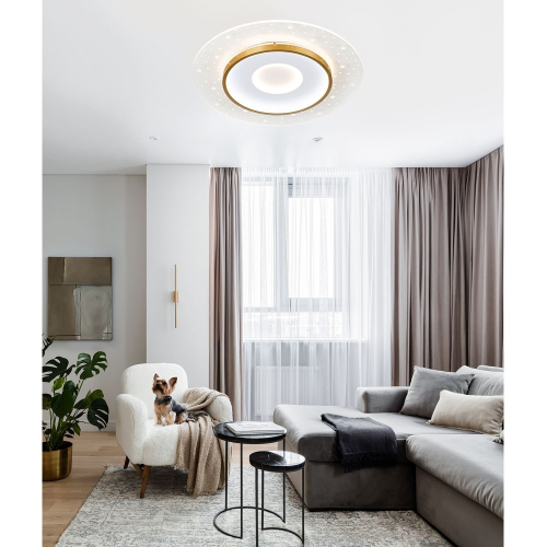 Потолочный светильник LED4U L1027-500 WH-GD изображение в интернет-магазине Cramer Light фото 2