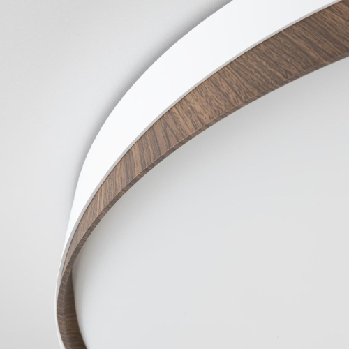 Потолочный светильник Citilux Bonny CL754450G изображение в интернет-магазине Cramer Light фото 10
