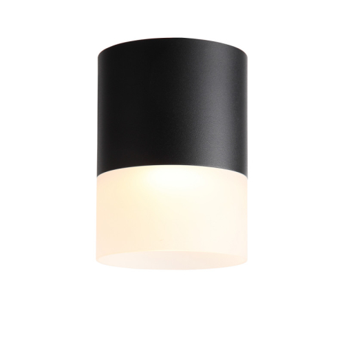 Накладной светильник ST Luce ST100.402.15 изображение в интернет-магазине Cramer Light