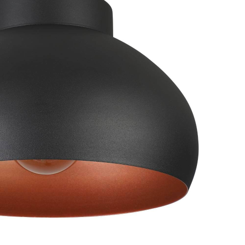 Потолочный светильник Eglo Mogano 2 900555 изображение в интернет-магазине Cramer Light фото 3