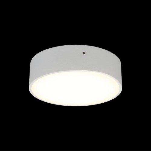 Потолочный светильник Aployt Evon APL.0113.09.12 изображение в интернет-магазине Cramer Light фото 7