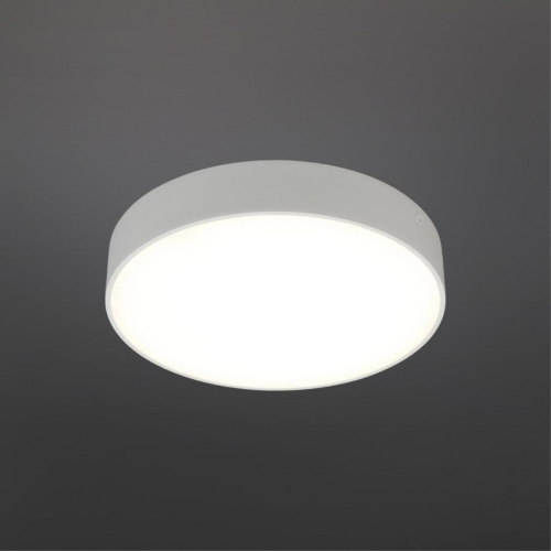 Потолочный светильник Aployt Evon APL.0114.09.24 изображение в интернет-магазине Cramer Light фото 2