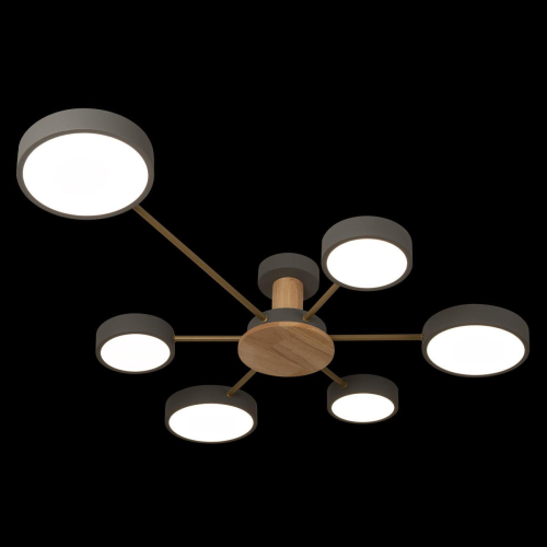 Потолочная люстра Loft IT Sunrise 10316/6 Grey изображение в интернет-магазине Cramer Light фото 3