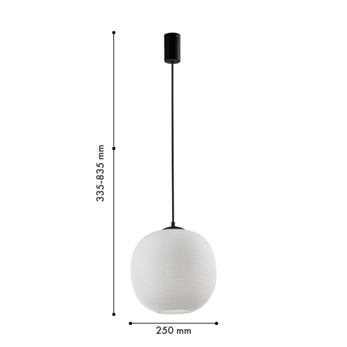 Подвесной светильник Favourite Riff 4259-1P изображение в интернет-магазине Cramer Light фото 2