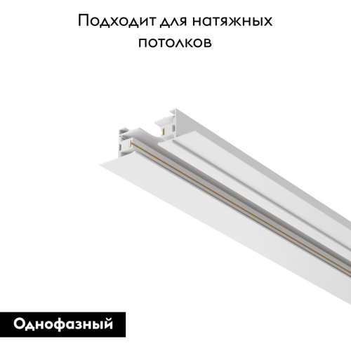 Шинопровод Maytoni Busbar trunkings TRX004-112W изображение в интернет-магазине Cramer Light фото 2