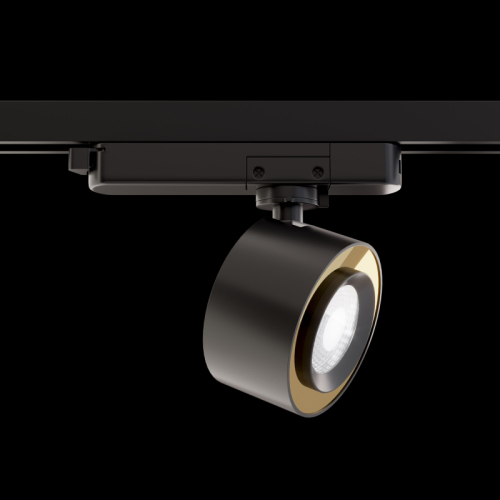 Трековый светильник Maytoni Treo TR023-1-12B4K изображение в интернет-магазине Cramer Light