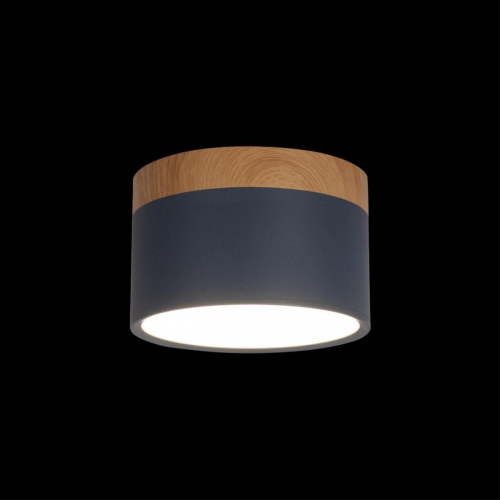 Накладной светильник Loft IT Grape 10162 Blue изображение в интернет-магазине Cramer Light фото 2