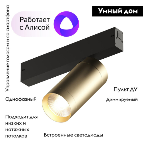 Трековый светильник Denkirs Smart Spot DK8020-BG изображение в интернет-магазине Cramer Light фото 2