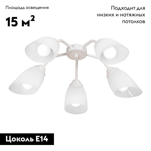 Потолочная люстра Vitaluce V31950/5PL изображение в интернет-магазине Cramer Light фото 2
