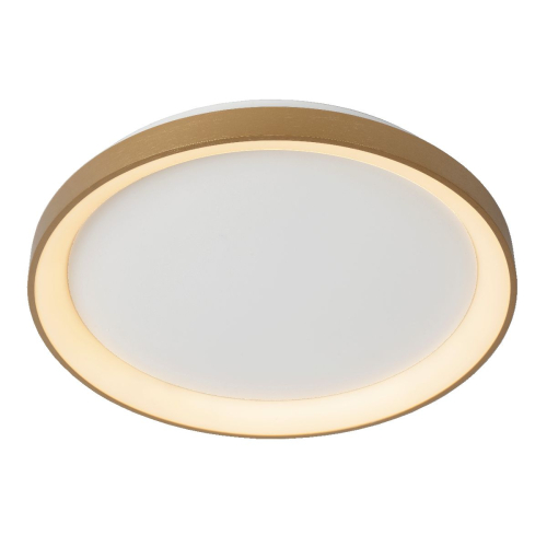 Потолочный светильник Lucide Vidal 46103/38/02 изображение в интернет-магазине Cramer Light