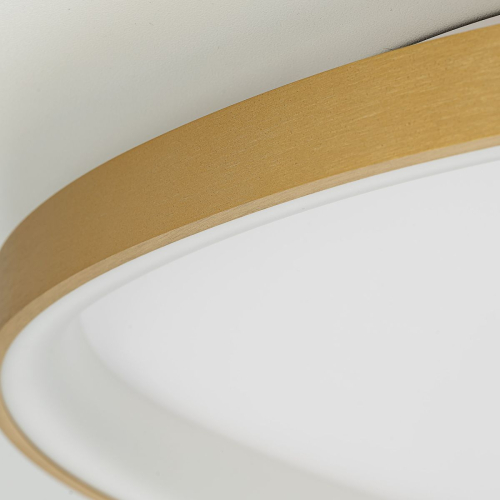 Потолочная люстра Citilux Genka Smart CL756A162 изображение в интернет-магазине Cramer Light фото 8