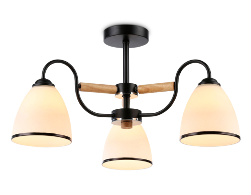 Люстра на штанге Ambrella Light Modern TR3033241 изображение в интернет-магазине Cramer Light