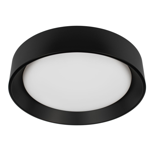 Потолочный светильник Loft IT Coin 10202 BB изображение в интернет-магазине Cramer Light