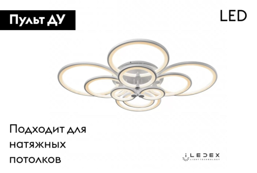 Потолочная люстра iLedex Ring A001/10 WH изображение в интернет-магазине Cramer Light фото 2