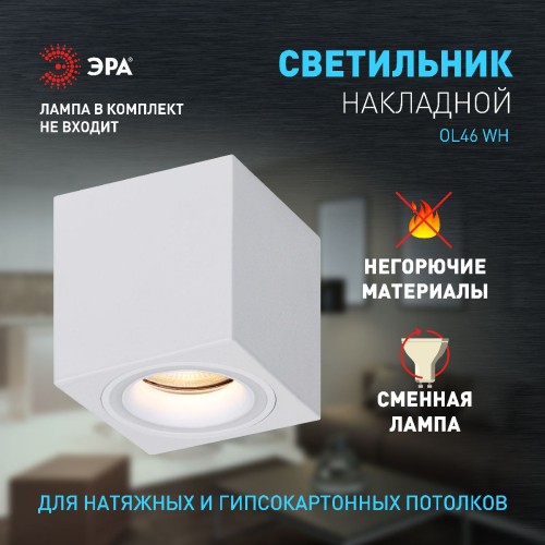 Накладной светильник Эра OL46 WH Б0059797 изображение в интернет-магазине Cramer Light фото 9