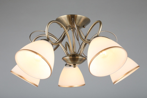 Потолочная люстра Omnilux Alimini OML-25307-05 изображение в интернет-магазине Cramer Light фото 3