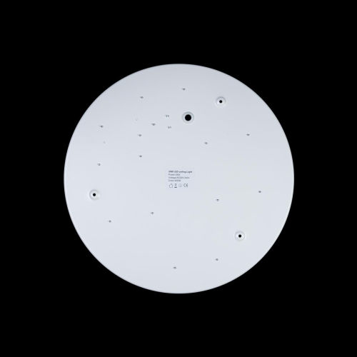 Потолочный светильник Loft IT AXEL 10003/24 White изображение в интернет-магазине Cramer Light фото 5