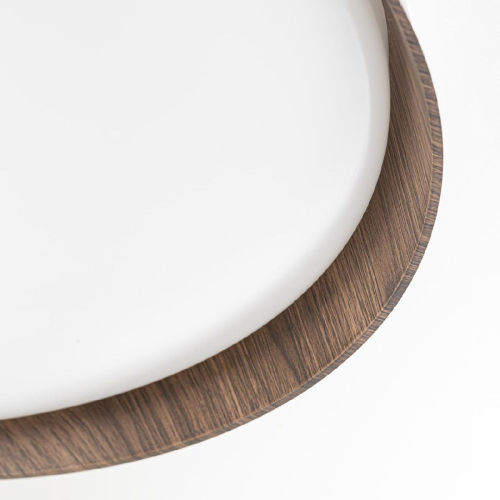 Потолочный светильник Citilux Bonny CL754350G изображение в интернет-магазине Cramer Light фото 11