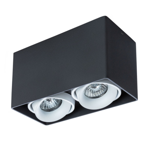 Потолочный светильник Arte Lamp Pictor A5654PL-2BK изображение в интернет-магазине Cramer Light