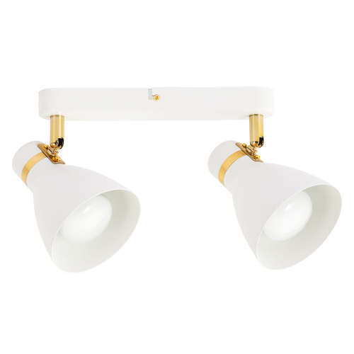 Спот Arte Lamp Fafnir A5047PL-2WH изображение в интернет-магазине Cramer Light