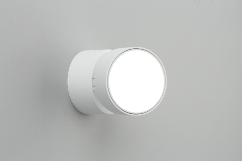 Светодиодный спот Omnilux Lenno OML-101309-12 изображение в интернет-магазине Cramer Light фото 6