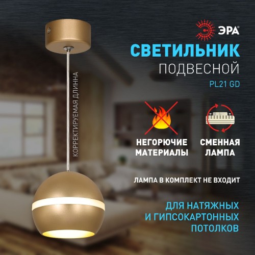 Подвесной светильник Эра PL21 GD Б0058506 изображение в интернет-магазине Cramer Light фото 9