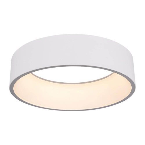 Подвесной светильник Arlight 022147(1) изображение в интернет-магазине Cramer Light фото 3