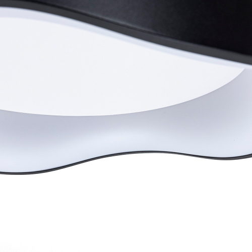 Потолочный светильник Arte Lamp Ankaa A3085PL-48BK изображение в интернет-магазине Cramer Light фото 4