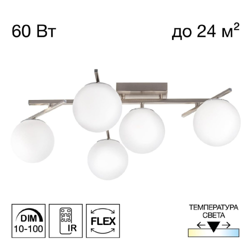 Потолочная люстра Citilux Dorsy CL223151 изображение в интернет-магазине Cramer Light