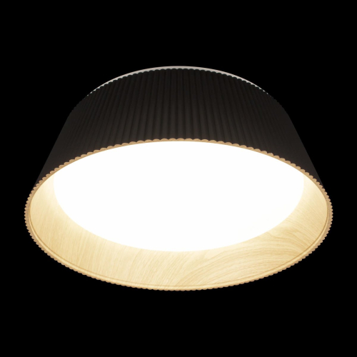 Потолочный светильник Loft IT Evans 10224 Black изображение в интернет-магазине Cramer Light фото 4