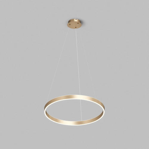 Подвесной светильник Denkirs Raydia DK6273-SG изображение в интернет-магазине Cramer Light