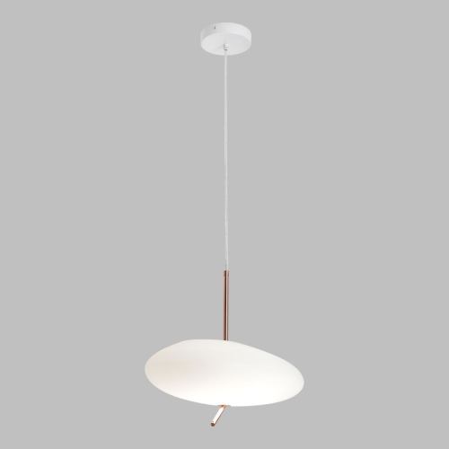 Подвесной светильник Lussole LSP-7528 изображение в интернет-магазине Cramer Light фото 2