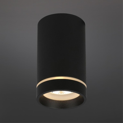 Потолочный светильник Aployt Edda APL.0053.19.10 изображение в интернет-магазине Cramer Light фото 2